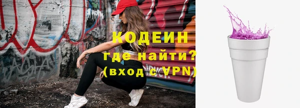эйфоретик Бородино