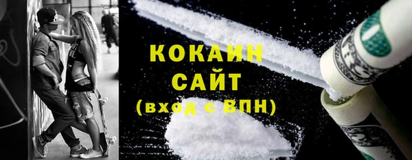 крисы Бронницы