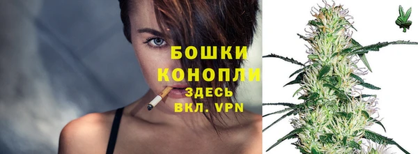крисы Бронницы