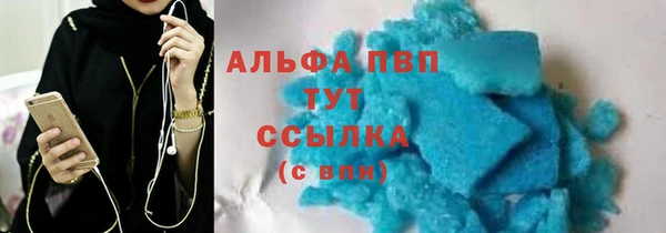 эйфоретик Бородино