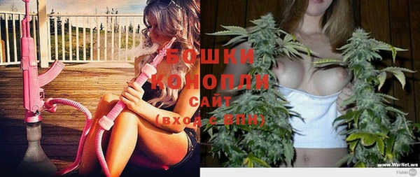 эйфоретик Бородино