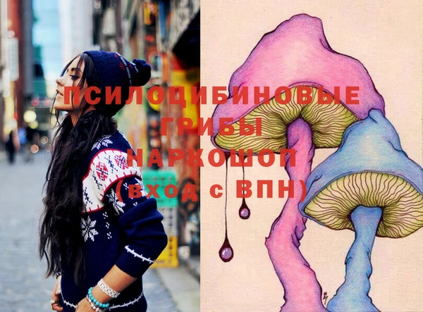 крисы Бронницы