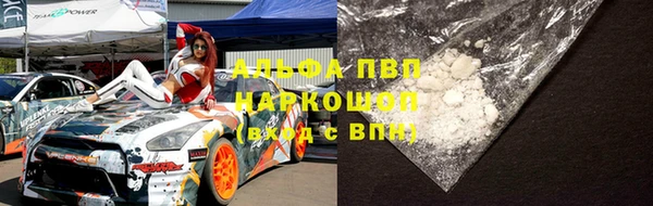 эйфоретик Бородино
