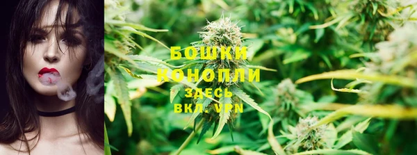 эйфоретик Бородино