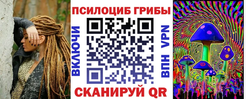 Галлюциногенные грибы Psilocybe  Купить где  Переславль-Залесский 